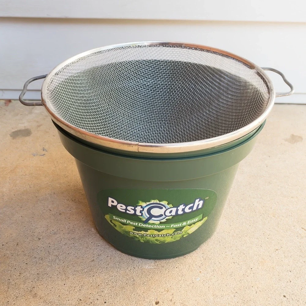 PestCatch Small Pest Detection Kit Men OS Green Insect Inspection Tool Plastic